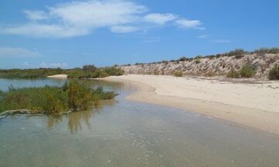 Faro Deserta and Farol Islands Tour in Ria Formosa