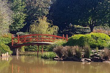 Discover Toowoomba Tours