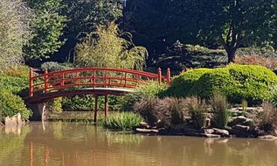 Discover Toowoomba Tours