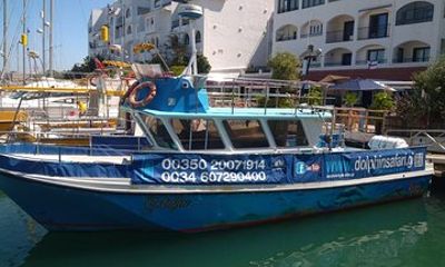 Dolphin Watching in Gibraltar with Dolphin Safari