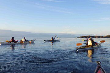 4 hr Kayak Tour around Saysutshun/NewCastle Island in Nanaimo, BC