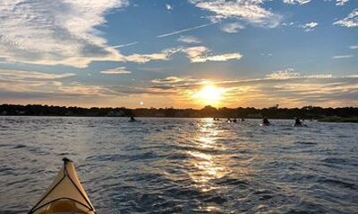 2-Hour Kayak Sunset Tour in Westport