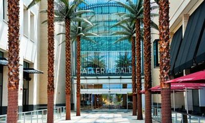 Dallas Best of Shopping Malls in the Luxury Private Limousine