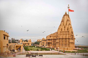 Rajkot to Diu Temple, Lion Safari & Beach Tour in Gujarat