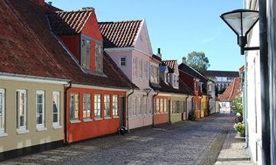 Odense Private Walking Tour