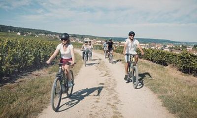 Reims: Half-day cycling in Champagne with tastings