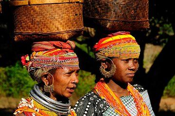 Vizag to Nagpur Tribal Communities & Tiger Safari
