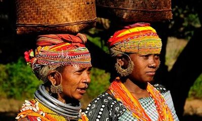 Vizag to Nagpur Tribal Communities & Tiger Safari
