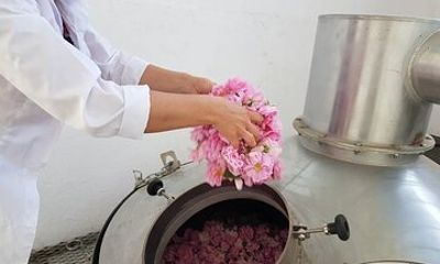 Private Rose Picking in Vrav along the Danube