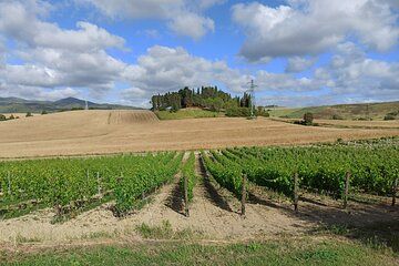 "Ramble Through The Rolling Hills Of Chianti" with lunch and 2 wine tastings