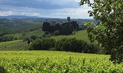 Lucca Private Day Tour to Chianti & San Gimignano