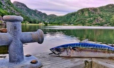 Inshore fishing in the Drangefjord