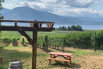 Naramata Full Day Lunch Wine Tour- Incl. Tasting Fees & Gratuity!