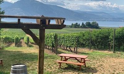 Naramata Full Day Lunch Wine Tour- Incl. Tasting Fees & Gratuity!