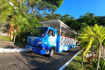 Buzios Trolley City Tour