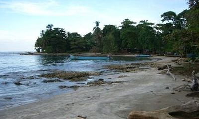 Private Transfer From Puerto Viejo - Limon To San Jose Airport