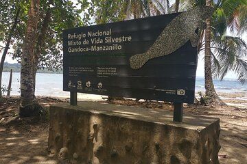 Shuttle From San Jose Airport To Manzanillo- Limon