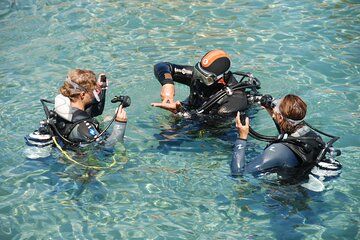 Discover Scuba Diving in the sea with the Blue Dolphin Team