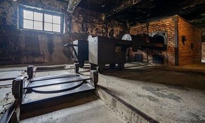 Auschwitz-Birkenau Skip-the-Line Ticket with Guided Tour