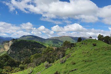 River Valley Stables - Burn The Breeze, Half Day Horse Ride For Riders
