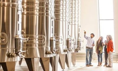 Unveiling Cafayate: Premium Wine Road Adventure