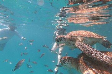 Shasa Catamaran Cruises Limited Numbers 3 Hour Sail and Snorkel