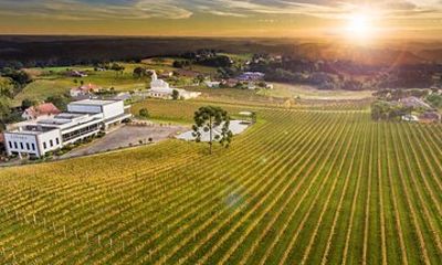 Tour Gran Reserva - Valley of the Vineyards