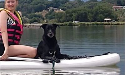 Stand Up Paddle Board Rentals