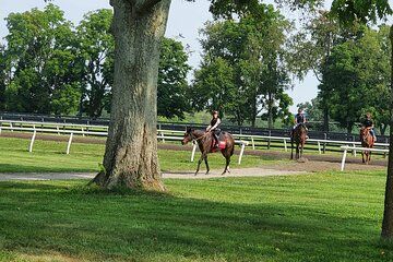 Full-Day Lexington Farm Tour with Clay Pigeon Shooting