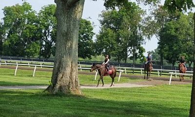 Full-Day Lexington Farm Tour with Clay Pigeon Shooting