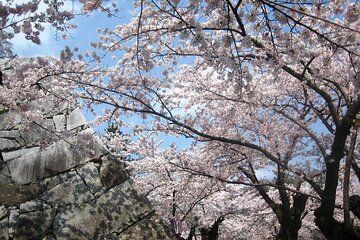 Morioka Full-Day Private Tour with Government-Licensed Guide