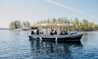 Lake Saimaa Small-Group Cruise with Stories and Music