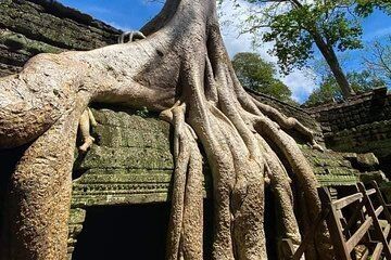 1Day-Private Angkor Day Tours
