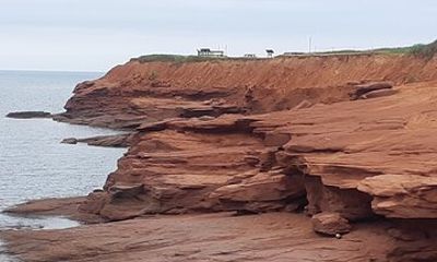Full Day North and South Shore Prince Edward Island tour