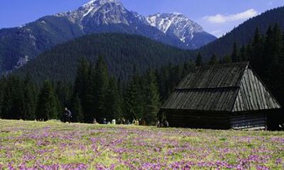 Zakopane Town in Tatra Mountains - Excursion from Krakow