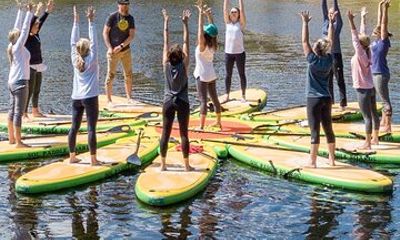 Stand Up Paddle Boards to Vine Experience