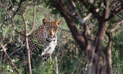 Around Gaborone Adventure