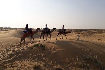 Private Overnight Safari Tour with Camel Ride