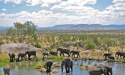 4 Day Garden Route and Botlierskop Tour from Cape Town