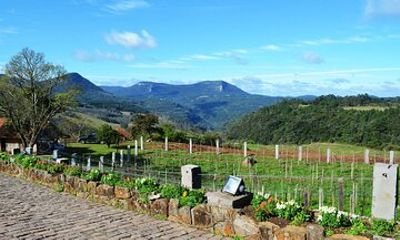 Canela and Gramado Winery Tour with Special Gift
