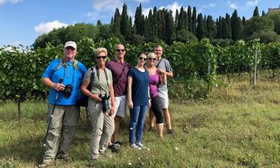 Private Montepulciano wine tour with a sommelier