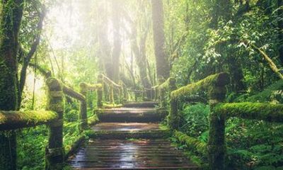 The best of Kabli Private walking tour