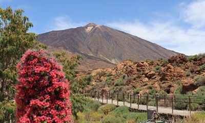 Masca - Garachico - Icod - Teide National Park