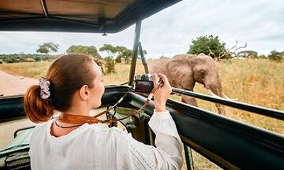 3 Days Masai Mara Magical Safari