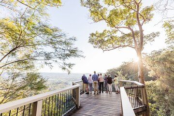 Sunshine Coast Hinterland Scenic Culinary Experience: Montville