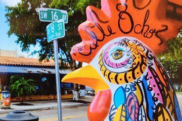 Little Havana Walking Tour + 1 Hour Everglades Airboat Ride