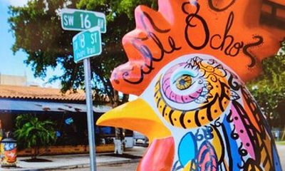 Little Havana Walking Tour + 1 Hour Everglades Airboat Ride