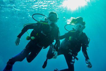 Discover Scuba Diving - Indroductory Dives