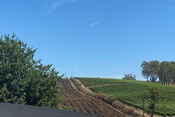 Full-Day VIP Hahndorf and McLaren Vale Private Car Tour