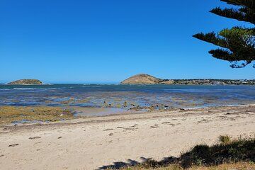 Victor Harbor: Stories of Whaling, Shipwrecks and European Settlers Guided Tour